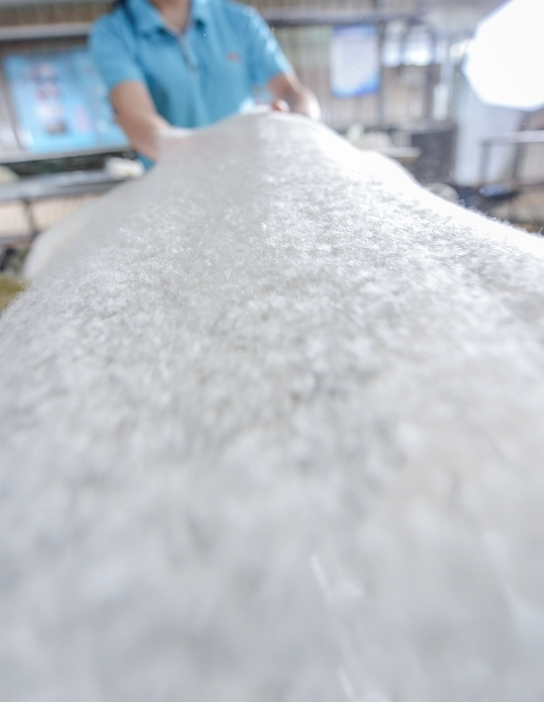 Preparación de materiales para la producción de cuerpos para sombrero