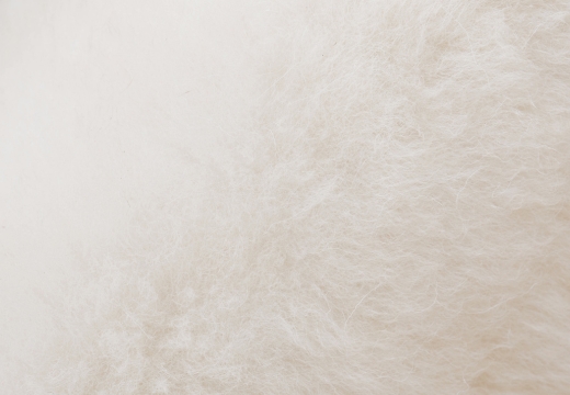 Textura de lana de cordero